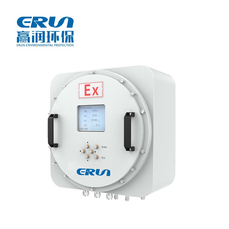 防爆在线式红外气体分析仪