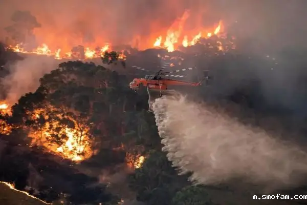 火灾现场的有毒气体有哪些