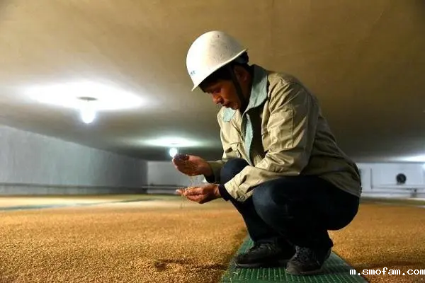 磷化氢二氧化碳混合熏蒸的作用