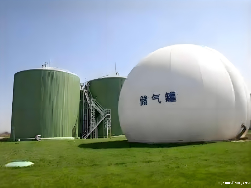 沼气中的臭味来自什么气体