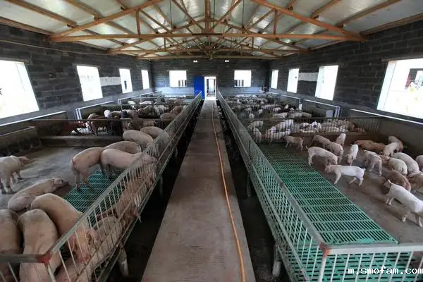 畜禽养殖恶臭气体是什么