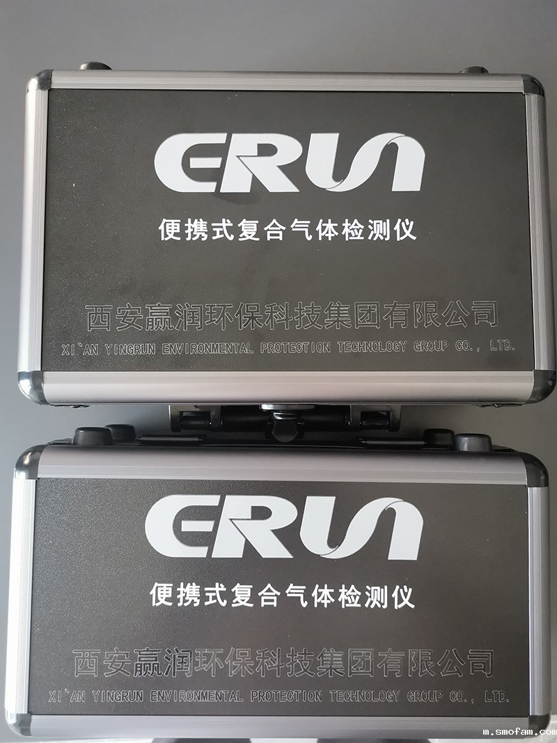 应急管理局气体检测仪