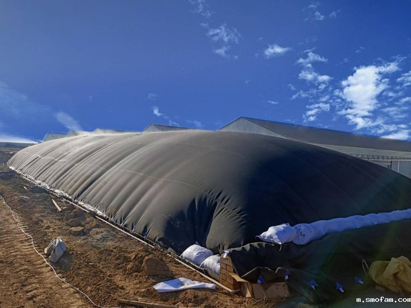 好氧堆肥气体中氧含量是多少