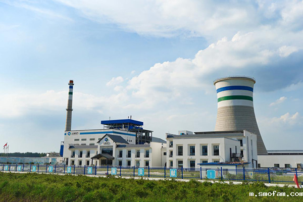 生物质发电工艺危险有害因素有哪些