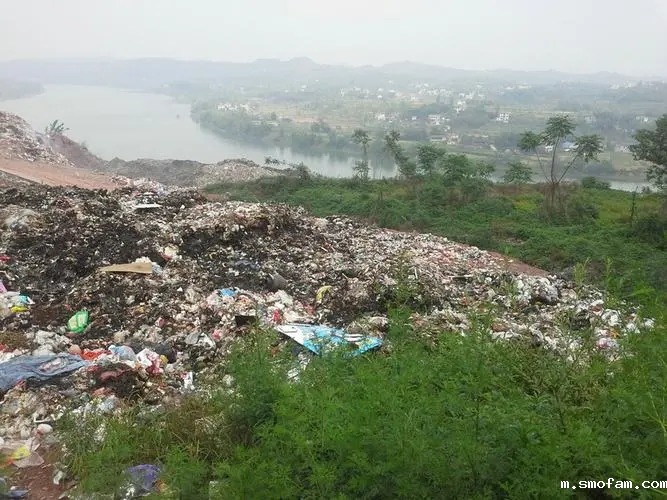 垃圾臭气对人体有害吗