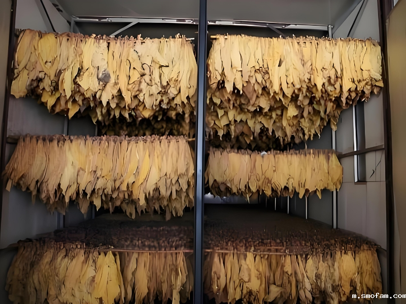 烟叶磷化氢熏蒸