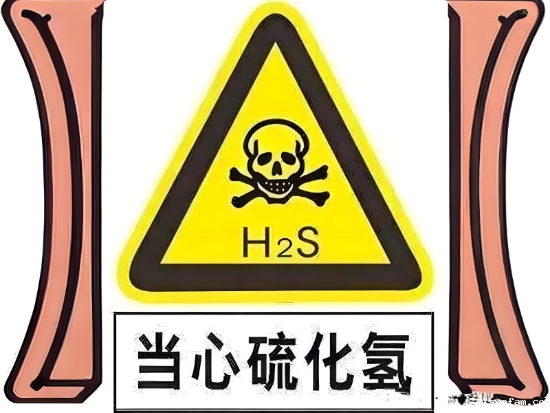 硫化氢H2S