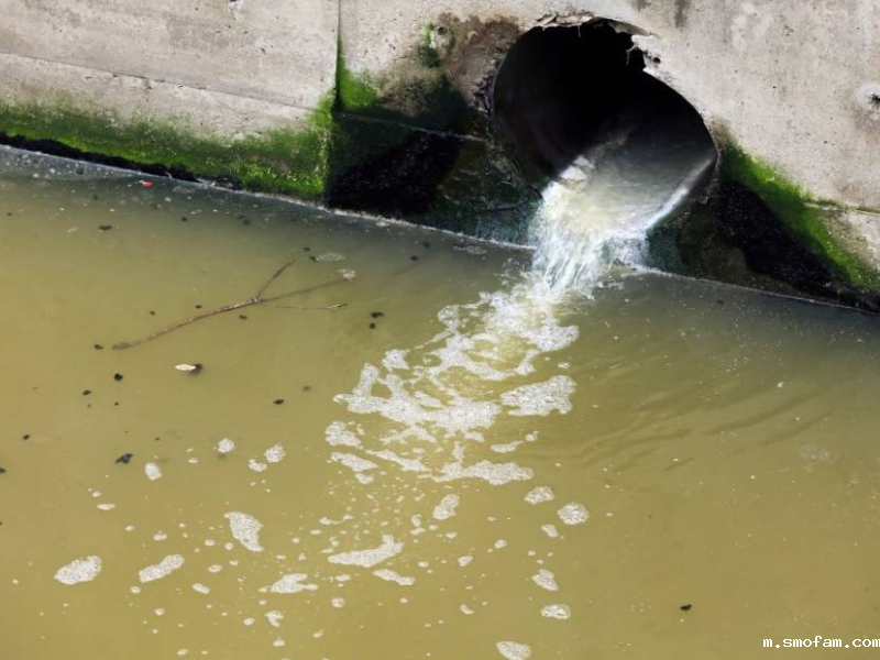 污水恶臭气体检测方法