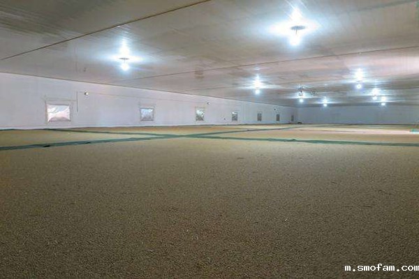 硫酰氟熏蒸粮食用量