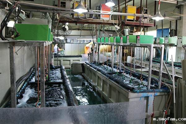 镀铬产生什么气体