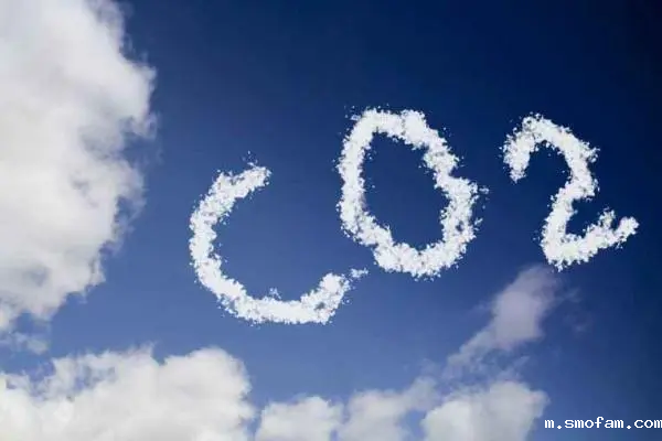 二氧化碳在科研领域的应用